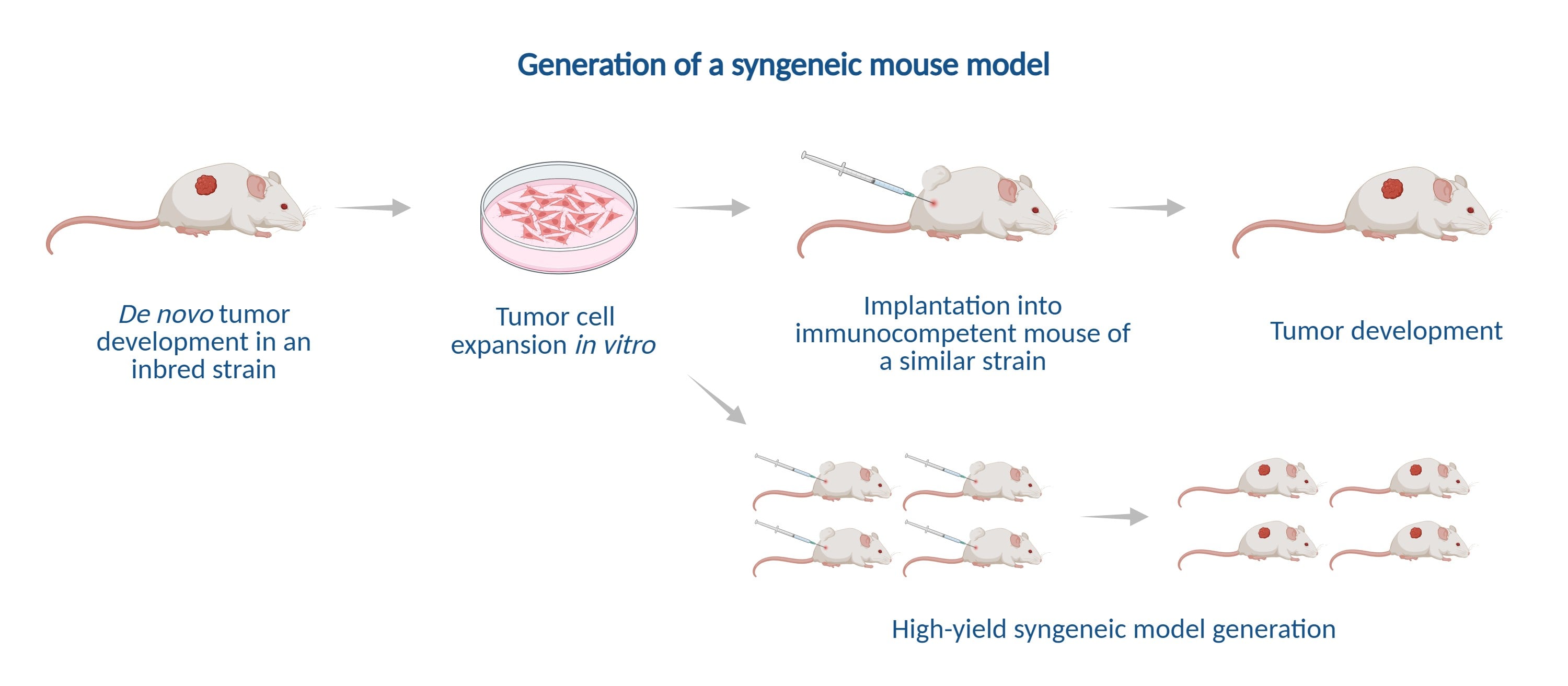 Syngeneic model generation