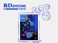 Defining T Cell Subsets: Wall Poster