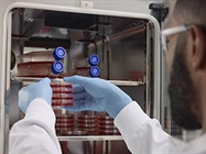 CO2 Incubators' Critical Role in CGT Research