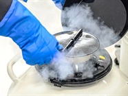 Strategies for Stem Cell Cryopreservation