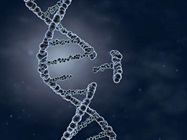 From Molecular Scissors to Search-and-Replace: The Expanding CRISPR Toolkit