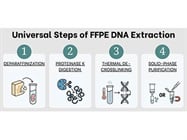 Maximizing DNA Yield and Quality from FFPE Samples