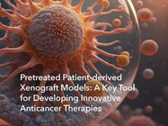 Pretreated Patient-derived Xenograft Models: A Key Tool for Developing Innovative Anticancer Therapies
