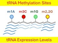 Arraystar tRNA Modification Seq