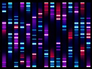 Next-Generation Sequencing Technology Update
