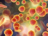 Real-Time PCR-Based Mycoplasma Testing