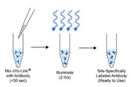 oYo-Link® Epitope Tags
