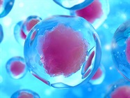Choosing the Right Cell Health Assay