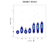 Unlocking NK Cell Function with BioLegend’s DNAM-1 Antibody