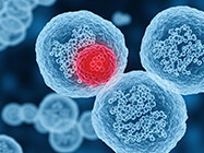 Automated 3D Tumor Cell Culture Handling