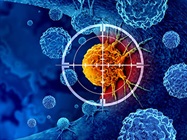 Decoding the Tumor Ecosystem