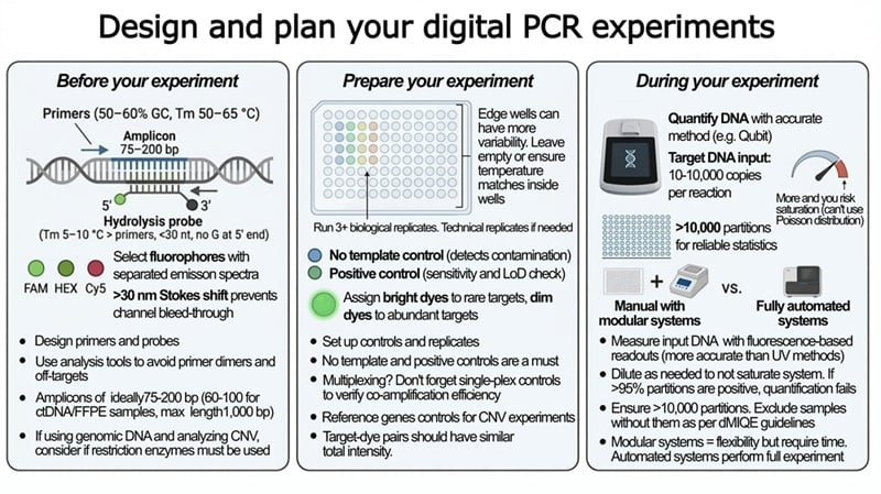Visual summary for dPCR assay design and optimization: primer and probe design guidelines, plate setup with NTC and positive controls, and critical run parameters including DNA input range and partition count thresholds per dMIQE guidelines.