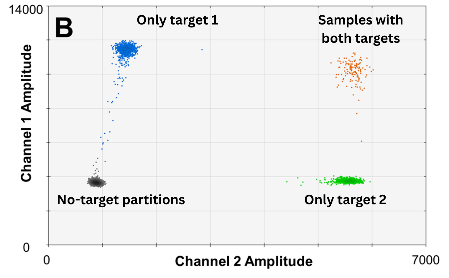 Two-dimensional dPCR scatter plot showing four distinct partition populations from a two-target multiplex assay: no-target partitions (grey), only target 1 (blue), only target 2 (green), and partitions containing both targets (orange), plotted by Channel 1 versus Channel 2 amplitude.