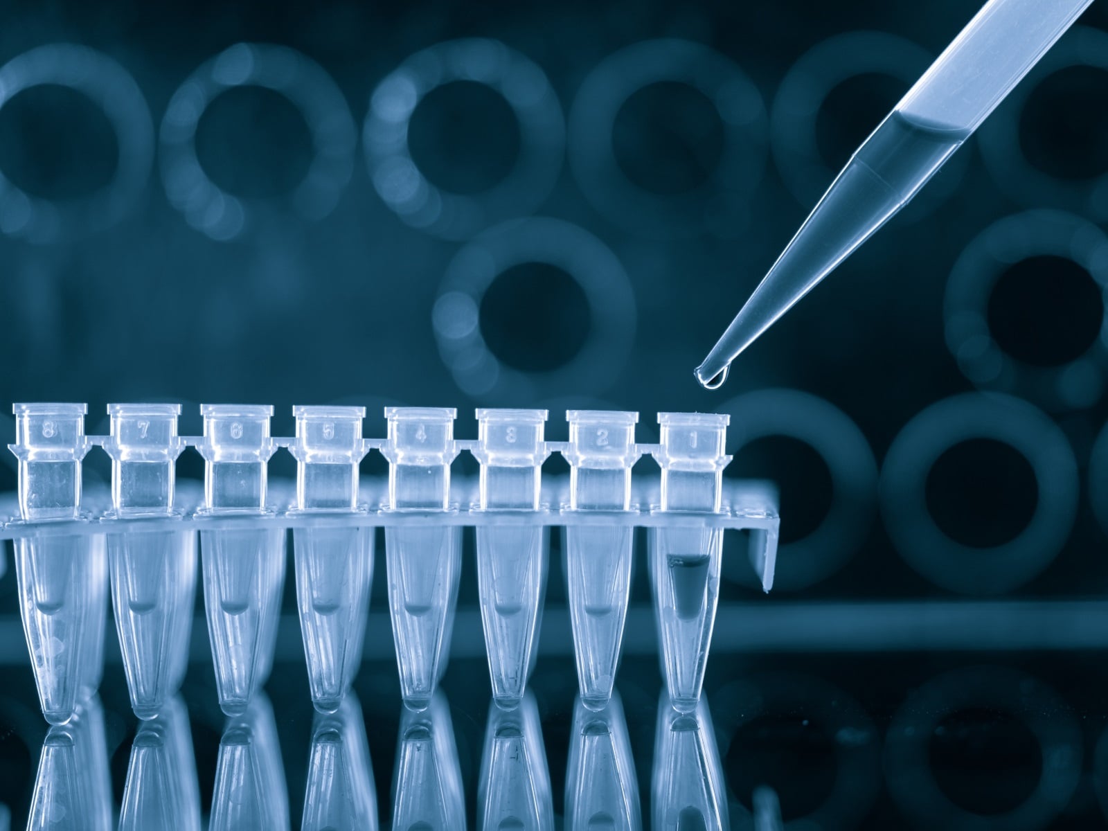 The Past, Present, and Future of Digital PCR