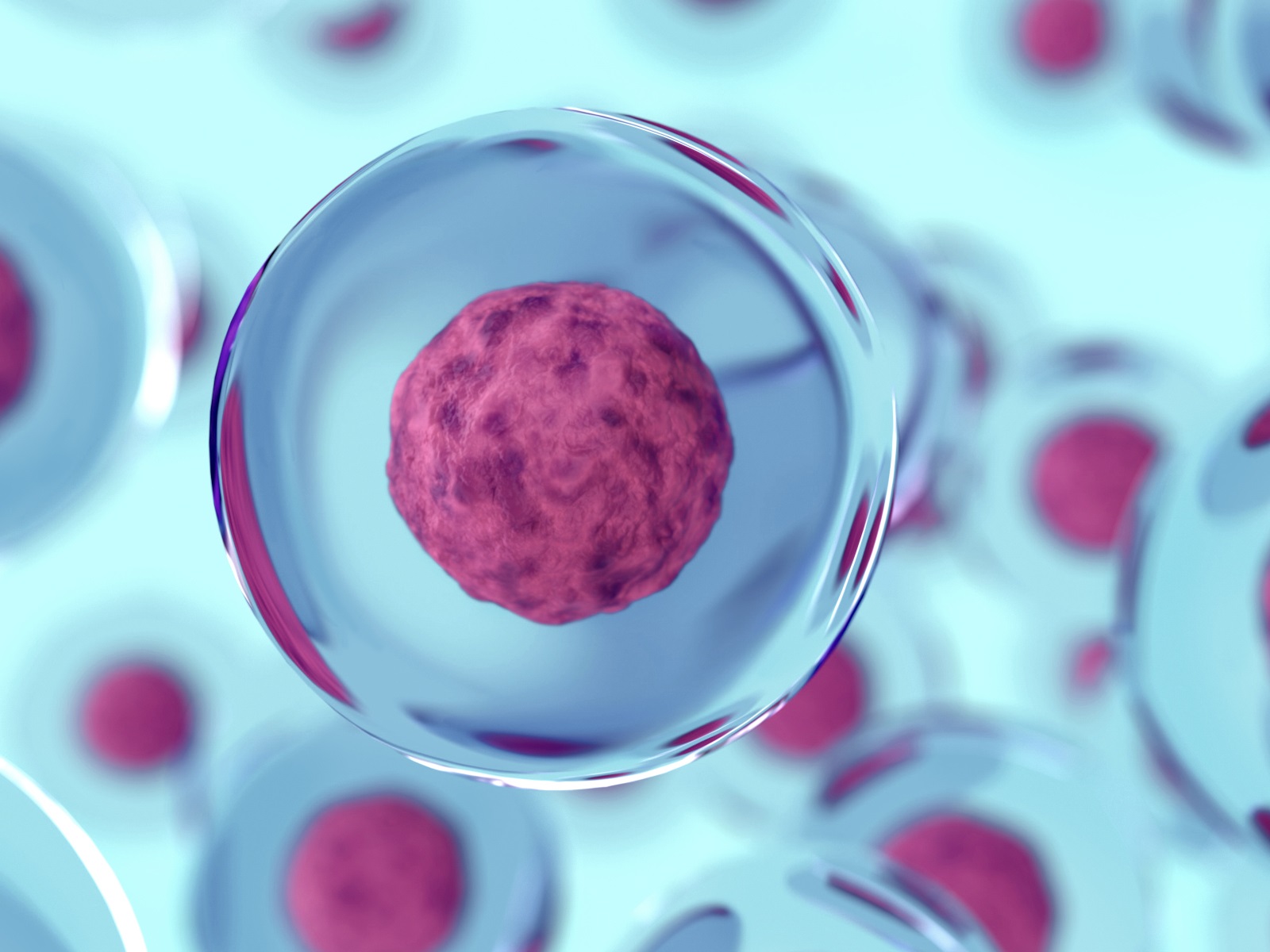 Poster: Small Molecules and Cytokines for Stem Cell Differentiation