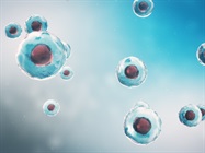 Catalog: Small Molecules for Stem Cell Research
