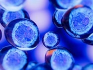 White paper: Unlocking the Potential of iPSC-based Therapeutics with Small Molecule Inhibitors