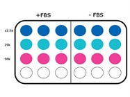 Practical Guidance for Optimizing Cell Migration and Invasion Assays