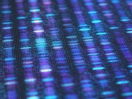 Improving NGS Workflows with ddPCR