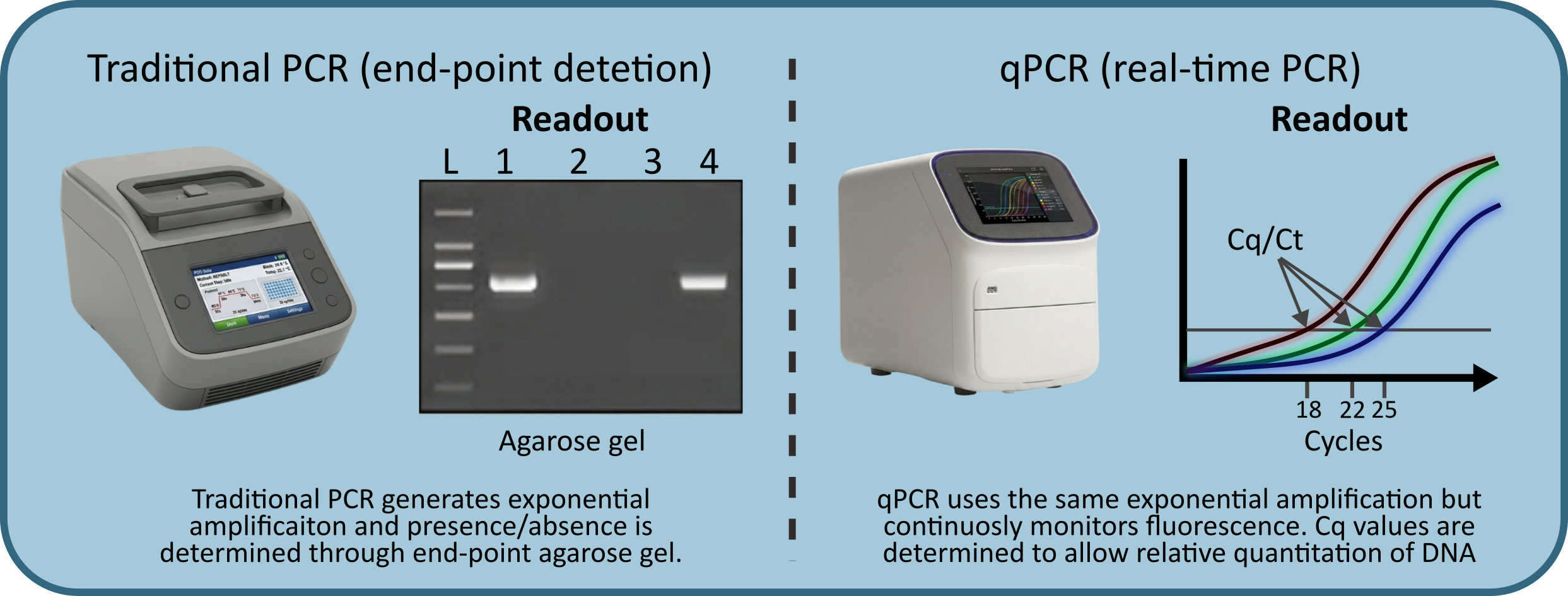 Side-by-side comparison of traditional endpoint PCR and qPCR, showing agarose gel readout versus real-time amplification curves with Cq/Ct values and how these are calculated from the graph.