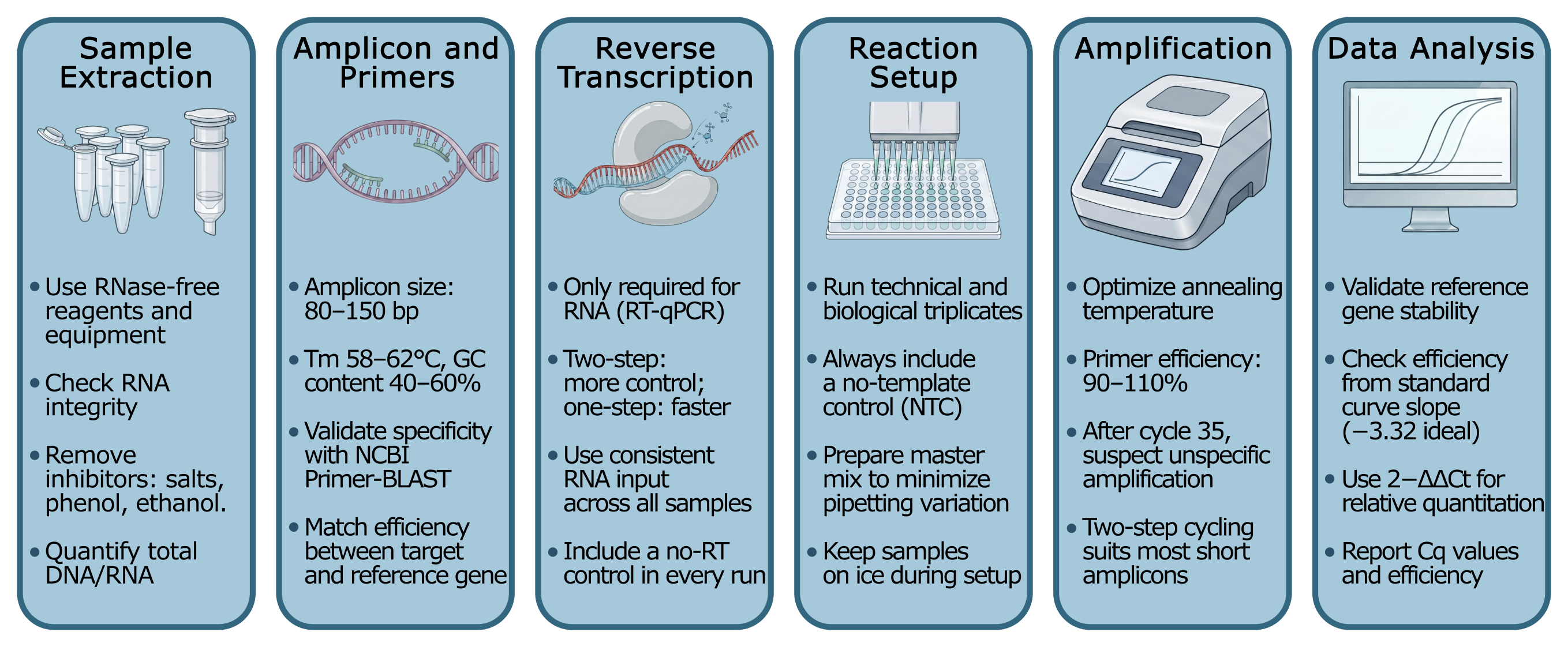Infographic showing the six steps that normally take place in a qPCR workflow: sample extraction, amplicon and primer design, reverse transcription, reaction setup, thermal cycling, and data analysis