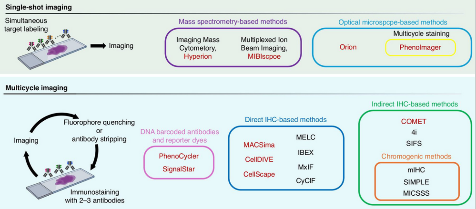 Classification diagram of commercial multiplex imaging platforms for spatial proteomics, organized by single-shot versus multicycle approaches: mass spectrometry-based systems (Hyperion, MIBIscope), optical single-shot systems (Orion, PhenoImager), DNA-barcoded platforms (PhenoCycler, SignalStar), direct IHC multicycle platforms (MACSima, Cell DIVE, CellScape), and indirect IHC platforms (COMET, 4i).
