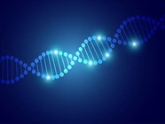 Functional Genomics: Unraveling the Mysteries of Gene Expression