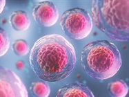 Designing Reproducible Stem Cell Differentiation