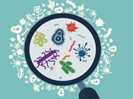 How to Recognize and Manage Cell Culture Contamination