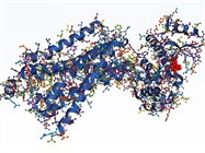 AI Accelerates Discovery of de Novo Antibodies Against Tough Targets