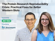 The Protein Research Reproducibility Crisis: Practical Fixes for Better Western Blots