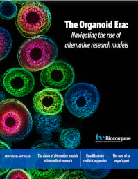 organoid ebook cover