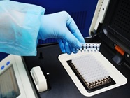 PCR Troubleshooting Insights from Thermocycler Manufacturers