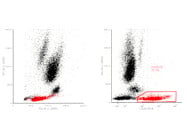 Strong, Easy-to-Resolve Positive Signal with BD™ CD26 PE Antibody From BD Biosciences