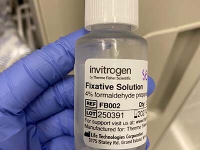 Excellent Fixation with Consistent Cell Preservation | Biocompare.com ...