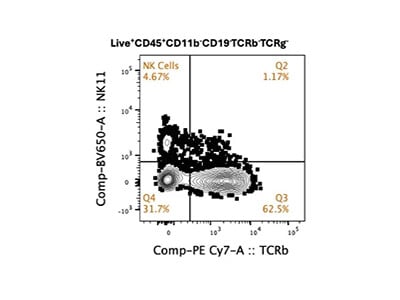 Anti Mouse NK1.1 BV650 for the Quantification of Mouse NK Cells