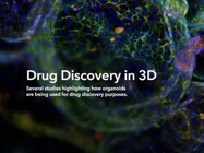 Drug Discovery in 3D