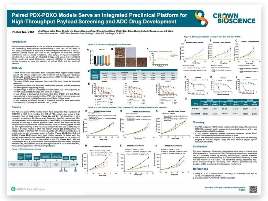 Poster: Paired PDX-PDXO Models for ADC Payload Screening and Resistance