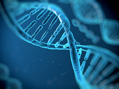 Technical Note: Novel Enzymatic Synthesis Technology Helps Scientists Access More Sequences