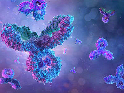 Solution Brief: Powering Antibody Discovery