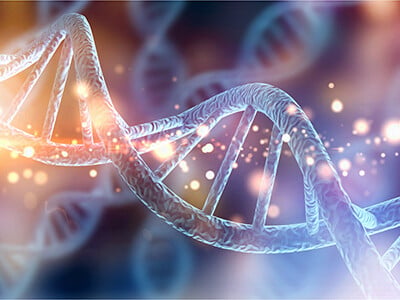 Application Note: How dsDNA Sequence Fidelity Affects Cloning Efficiency