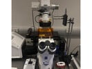 Excellent Live-Cell Confocal Once the Environmental Control is Dialed In