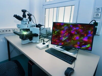 A microscope workstation with monitor in a modern research laboratory.