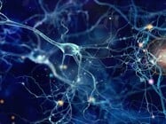 Using Multiplex Spatial Confocal Microscopy to Study Alzheimer’s Disease