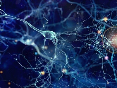 A computer render of neurons on a blue background.