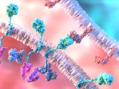 : A computer render of T-cell bound chimeric antigen receptor (CAR) interactions with cancer cells.