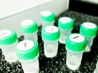 Closed tubes containing DMSO.