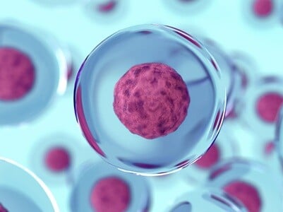 An abstract rendering of mammalian cells in suspension