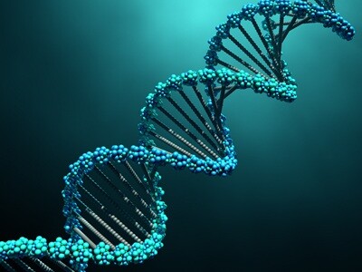 A computer render of a DNA double helix
