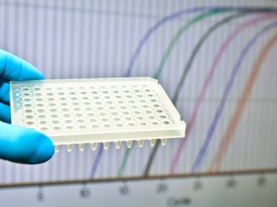A hand holds a 96 well plate in front of a screen displaying Ct curves.